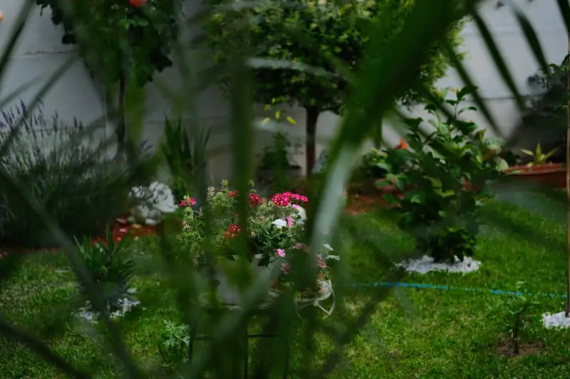 Scent & Substance: Crafting a Home Garden That Feels Like You
