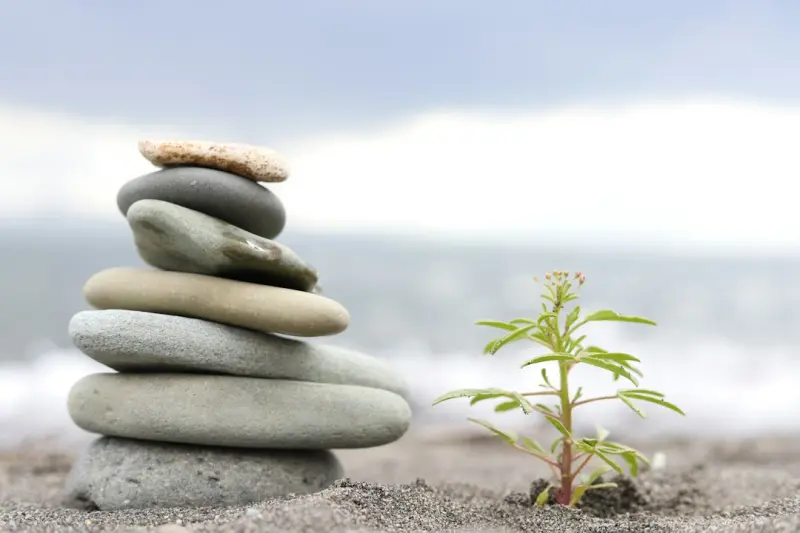 Rewiring Resilience: Small Rituals That Safeguard Your Mind - iBusiness Directory Canada