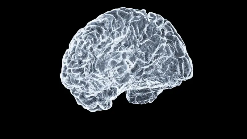 Rewire Your Brain at Work: Unconventional Mental‑Health Tactics
