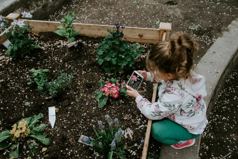 Cultivating a Sensory Garden: A Home Oasis for All Five Senses
