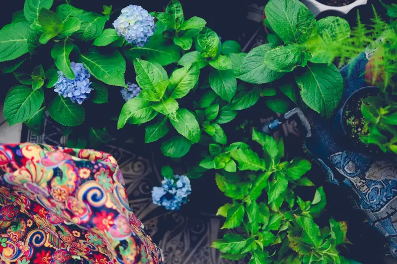 A Multi‑Sensory Garden Blueprint for Everyday Joy