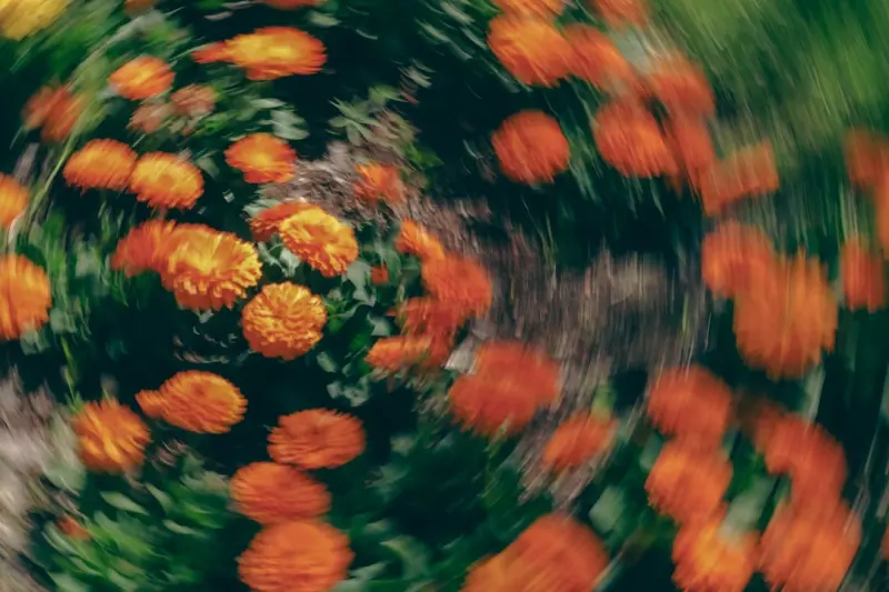 The Art of Slow‑Travel Photography: Capturing Moments with a Disposable Camera