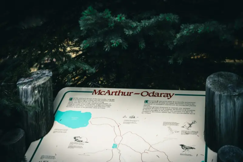 Culinary Cartography: Mapping Flavor Trails on the Open Road - iBusiness Directory Canada