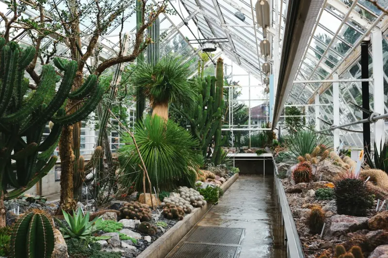 Reviving the Forgotten Conservatory: Modern Ways to Blend Indoor Elegance with Outdoor Freshness - iBusiness Directory Canada
