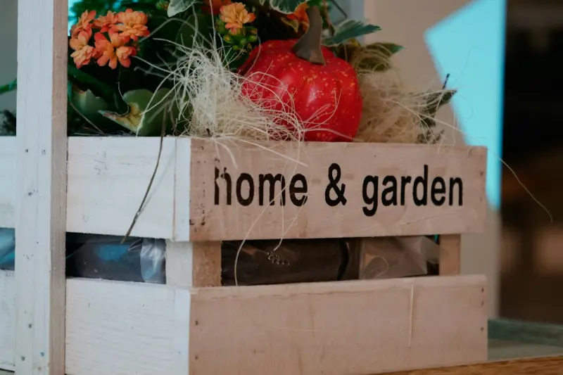 Pocket Gardens: Transform Tiny Spaces into Lush Retreats