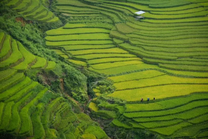 Tiny Terraces, Big Harvests: Mastering Small‑Space Gardening