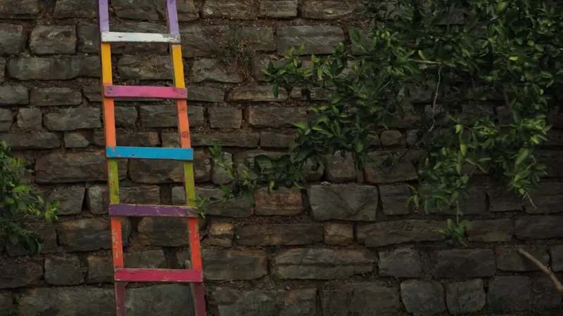 Beyond the Ladder: Crafting Skill‑Based Career Paths in the Modern Workplace