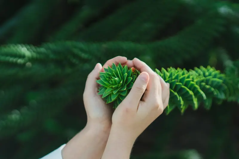 Sensory Rituals & Sustainable Choices: A New Personal Care Era Sensory Rituals & Sustainable Choices: A New Personal Care Era