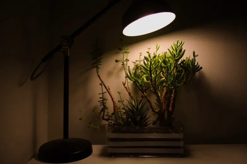Smart Light & Space Hacks for Urban Living