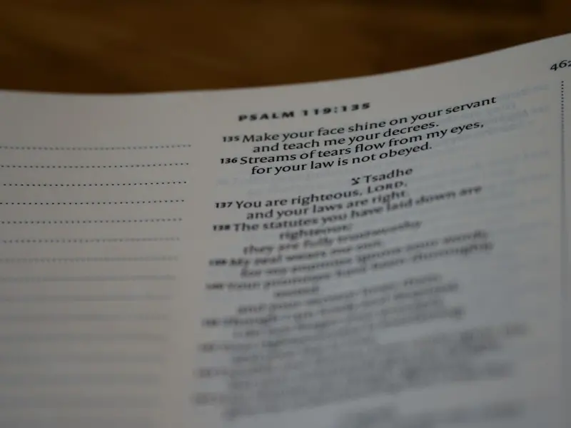 Beyond the Checklist: Crafting Personal Narrative Journeys
