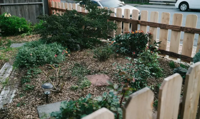 Edible Landscape Design: Turning Your Yard into a Food Forest