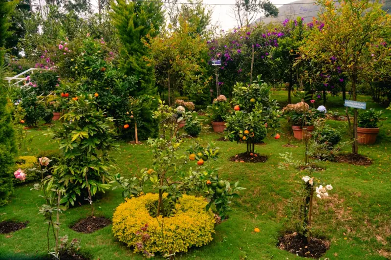 The Five‑Senses Garden: Designing a Home Oasis You Can Touch, Hear, Smell, See, and Taste