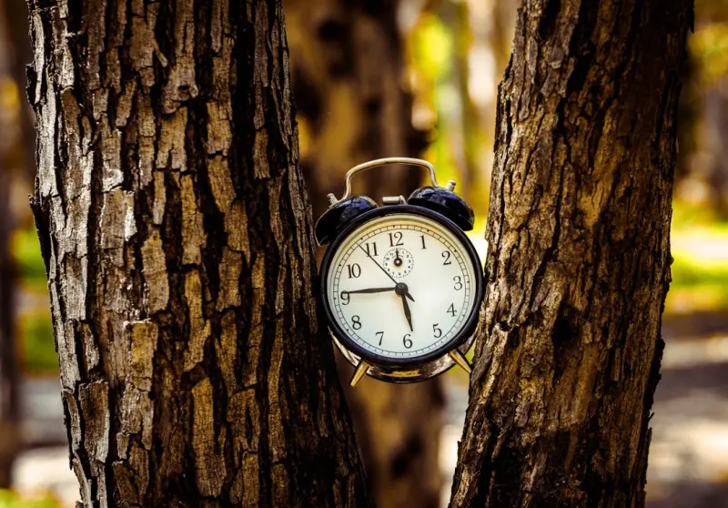 Redefining Success: From Hours Logged to Impact Delivered
