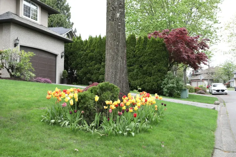 From Ornamental to Edible: Transform Your Yard into a Living Harvest