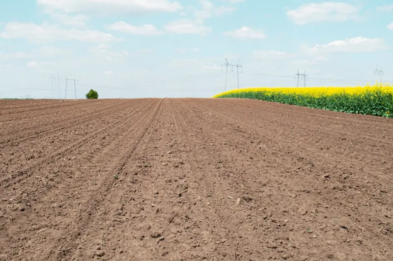 Sensor‑Driven Soil Health: Turning Home Gardens into Data‑Powered Harvest Hubs