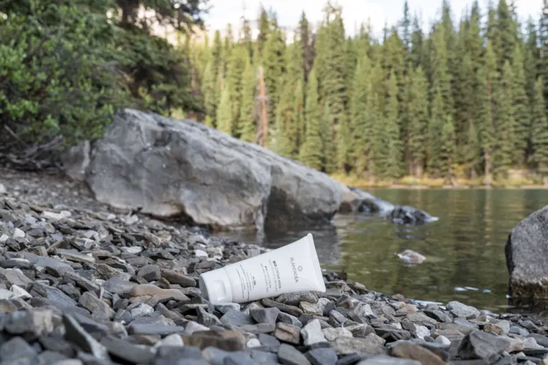 The Wild Prescription: How Forest Bathing Boosts Modern Health