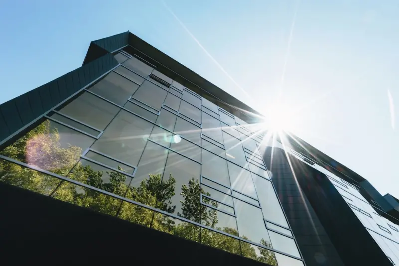 The Hidden Engine of Sustainable Employment: Building Psychological Safety
