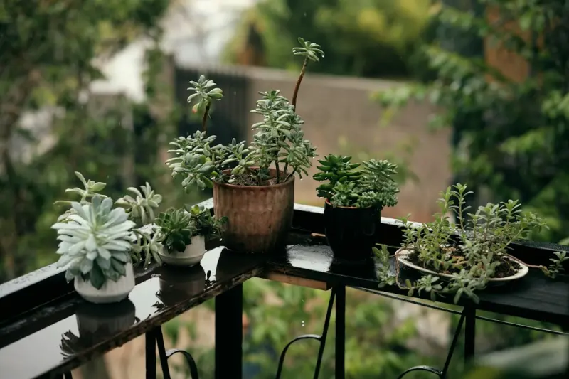Urban Balcony Farming: Turning Tiny Terraces into Year-Round Food Sources - iBusiness Directory Canada