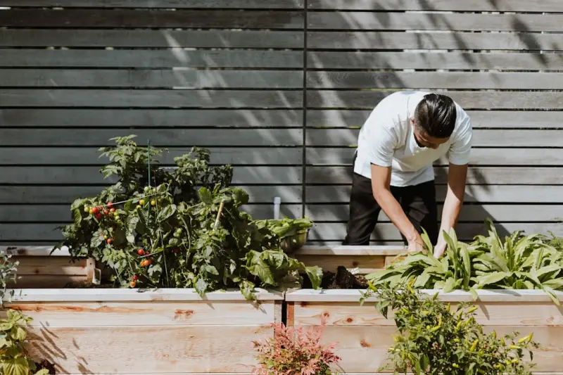 Vertical Edible Gardens: Harvesting Freshness on Your Home Walls
