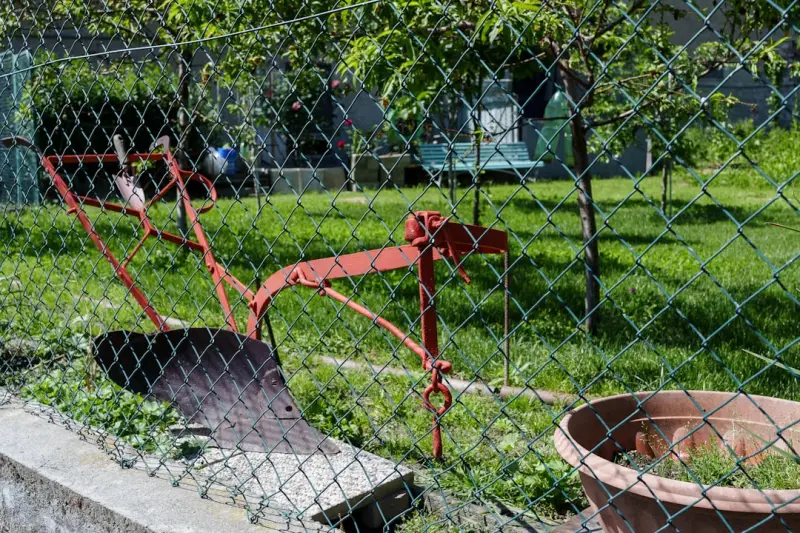 Cultivating Curiosity: Turning Your Backyard into a Living Laboratory