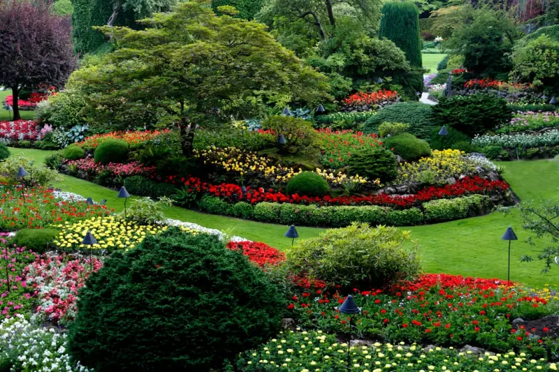 Edible Landscaping: How to Grow a Beautiful, Productive Garden That Feeds Your Table