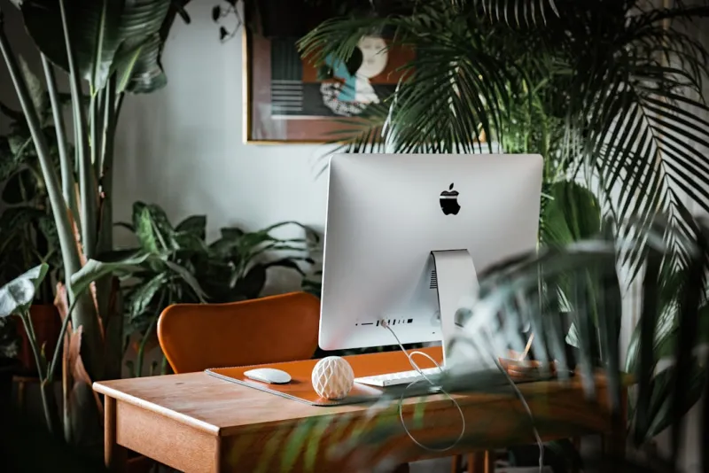 Why Garden Desks Are the Secret Weapon for Career Advancement