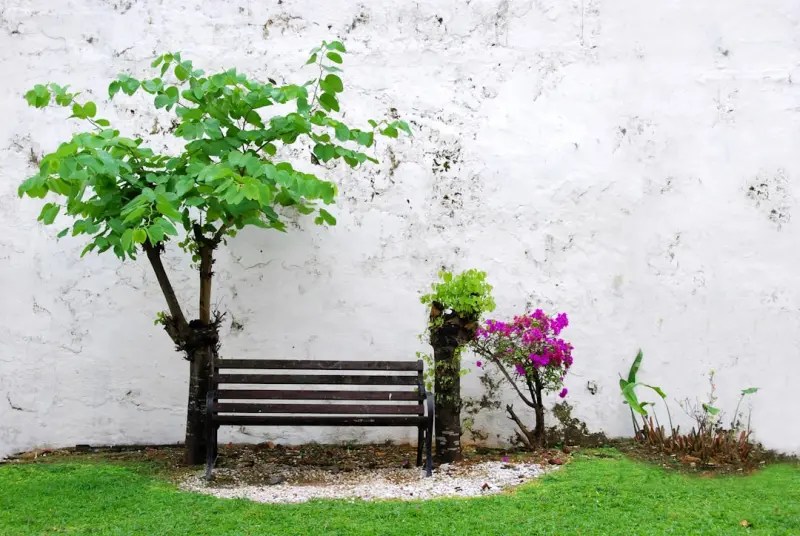 Minimalist Garden Mastery: Transform Small Spaces into Serene Sanctuaries