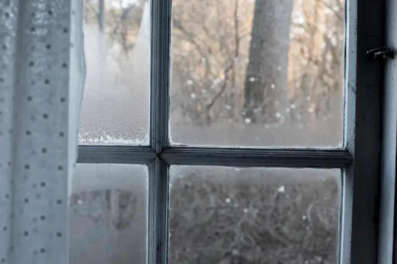 Seasonal Window‑Box Mastery: Turning Your Sill into a Living Canvas