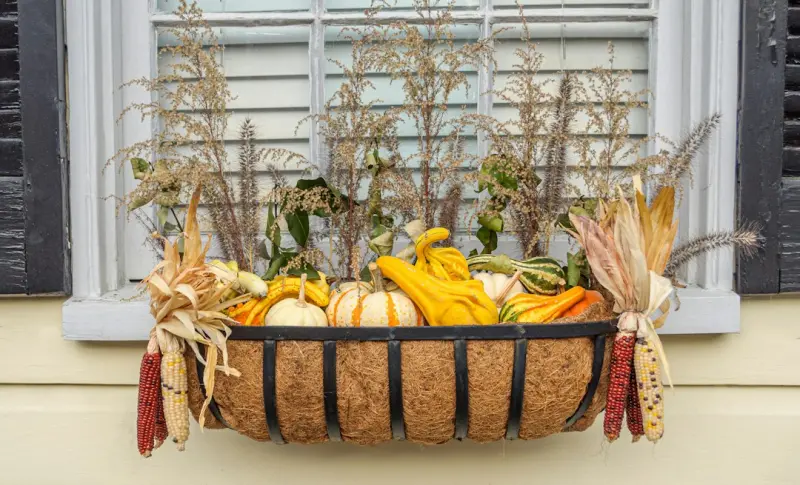 The Art of the Seasonal Window Garden: Bringing the Outdoors Inside