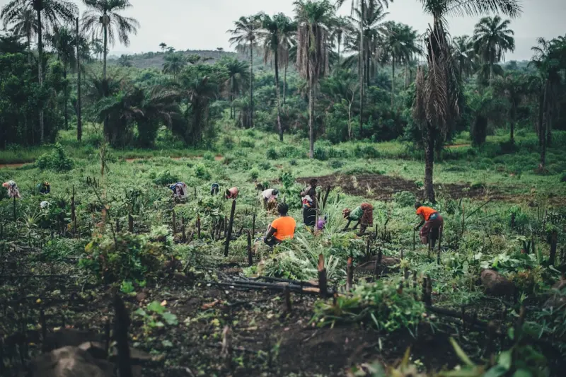 Cultivating a Year‑Round Food Forest on Your Urban Balcony