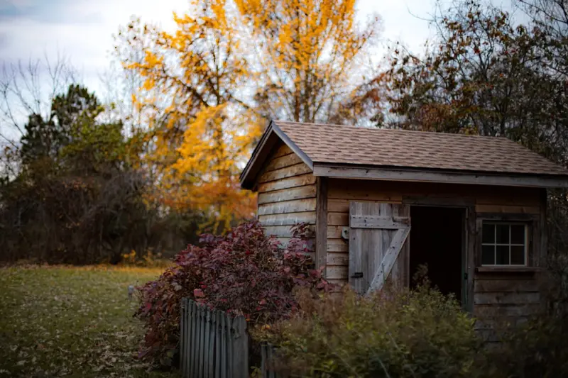 From Drab to Dreamy: Turning Your Backyard Shed Into a Creative Oasis