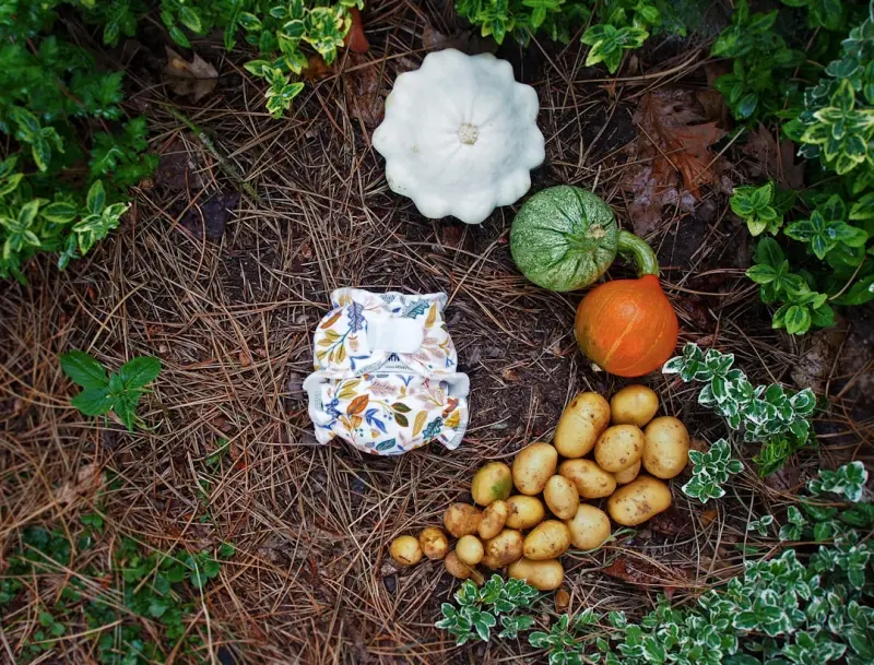 How to Grow a Bountiful Edible Garden in Tiny Spaces How to Grow a Bountiful Edible Garden in Tiny Spaces