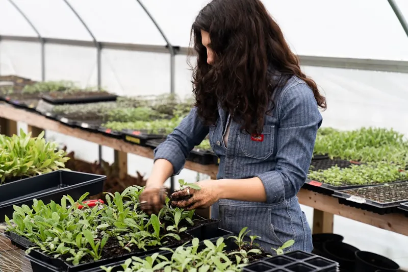 Cultivating Career Growth: Why Garden Desks Are the Future of Employment