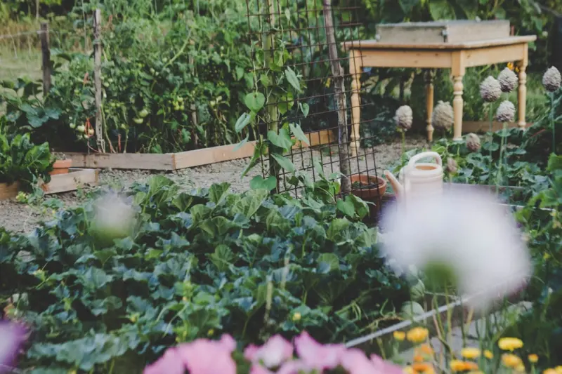 Edible Landscape Design: Grow a Garden That Feeds Both Body and Soul