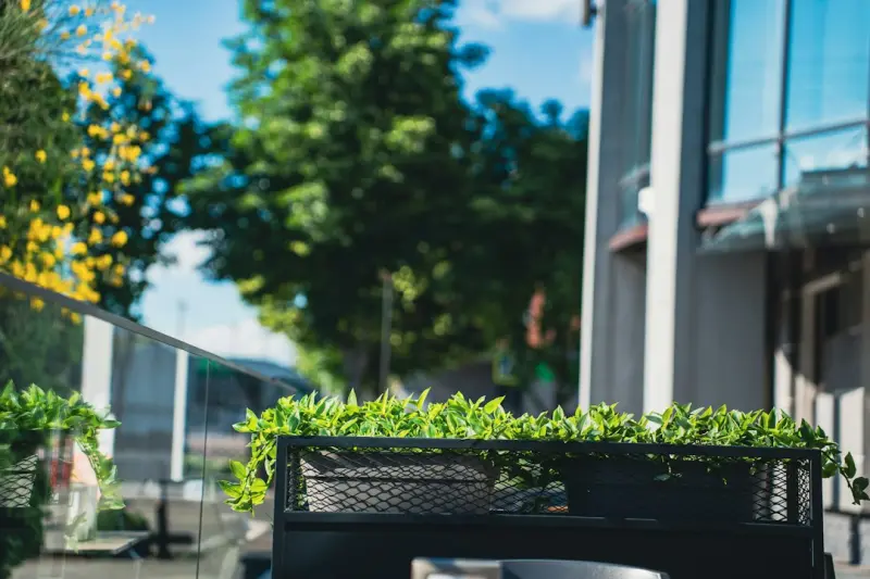 From Balcony to Bounty: Turning Tiny Outdoor Spaces into Year‑Round Food Oases