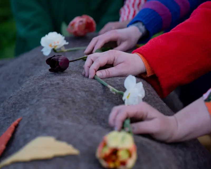 Crafting a Sensory Garden: Engage Sight, Sound, Smell, and Touch