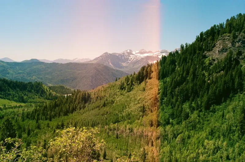 Sunlit Sessions: Reclaiming Daylight for Peak Health
