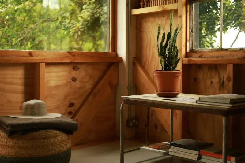 Rewilding Your Living Space: A Guide to Natural Home Design