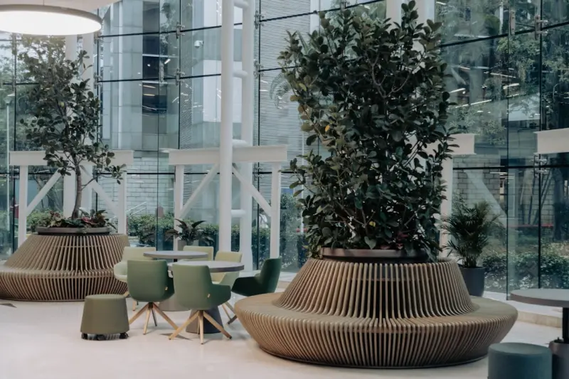 Bringing the Wild Inside: How to Design a Biophilic Home That Feeds the Soul