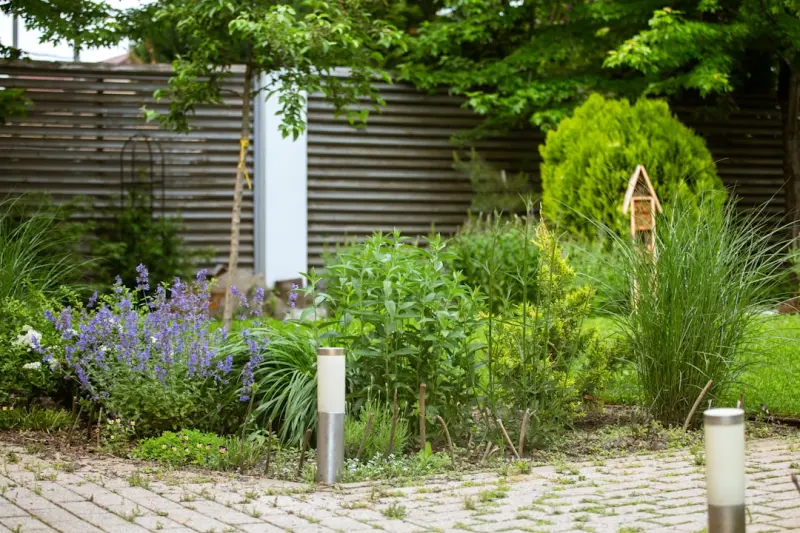 Designing a Garden Soundscape: How to Turn Your Backyard into an Auditory Sanctuary