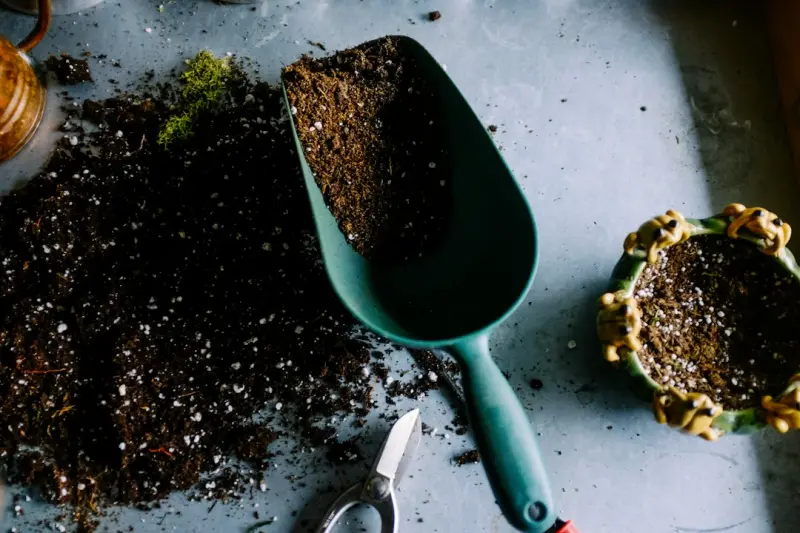 The Secret Life of Soil: DIY Amendments for a Thriving Garden