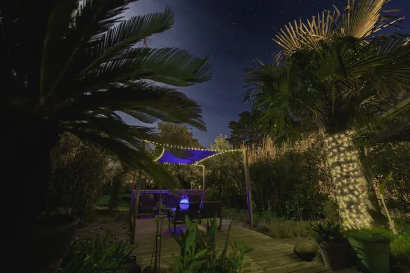 Designing a Nighttime Garden: Light, Texture, and Tranquil Evenings