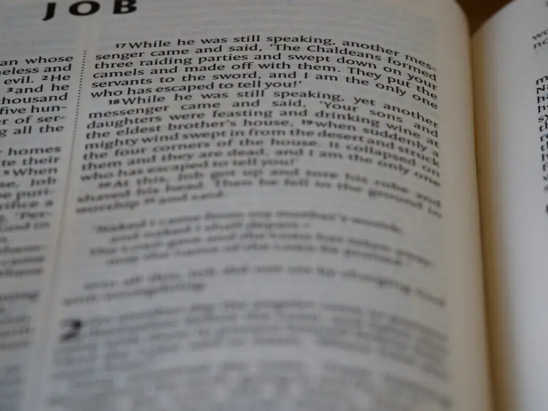 Beyond the Traditional Job: Mastering the Skill‑Based Employment Revolution