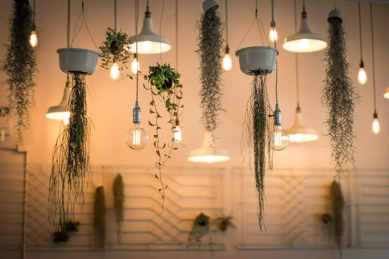 Illuminating Your Indoor Jungle: How Smart Lighting Transforms Home Gardening