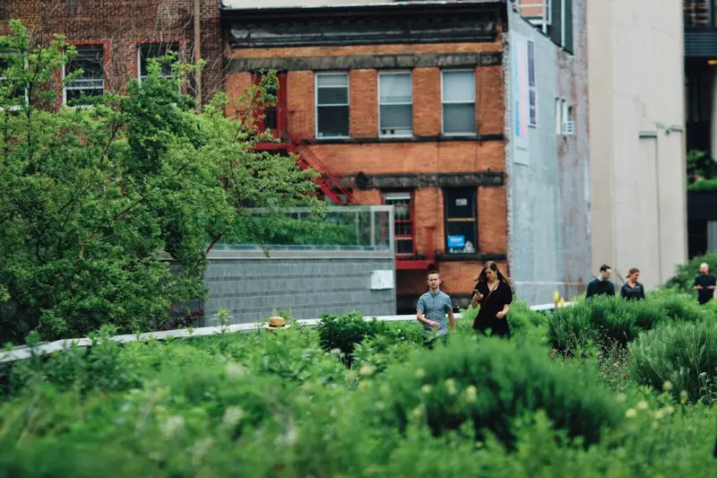 Cultivating Calm: Urban Biophilic Design for Small Spaces