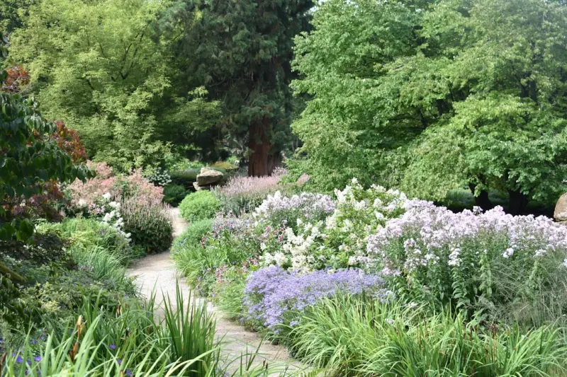 Edible Landscaping: Designing a Garden That Feeds the Soul and the Stomach