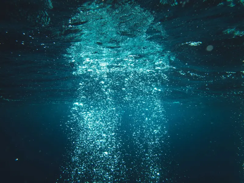 Cold Water Immersion + Breathwork: The Dual Reset for Modern Wellness