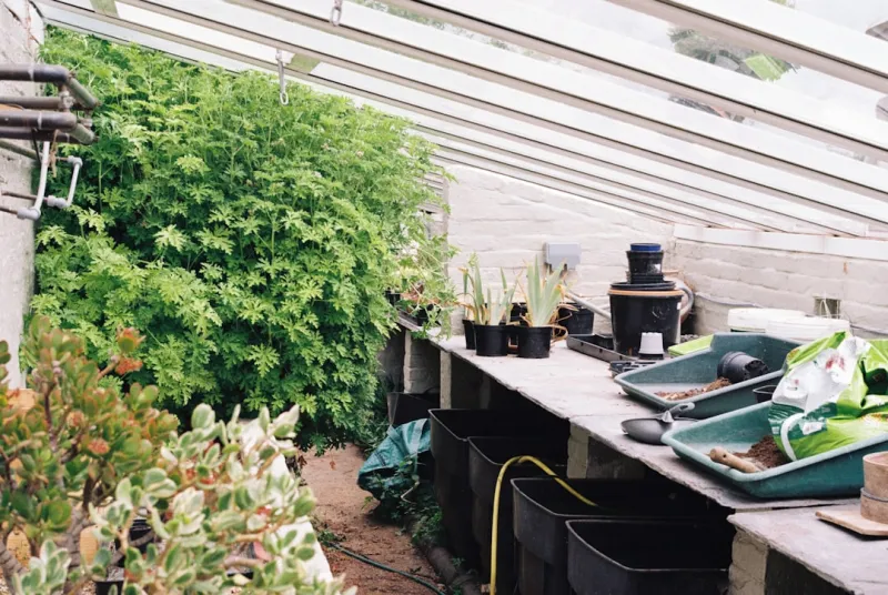 Cultivating Career Growth: How Garden Desks Are Changing Employment Cultivating Career Growth: How Garden Desks Are Changing Employment