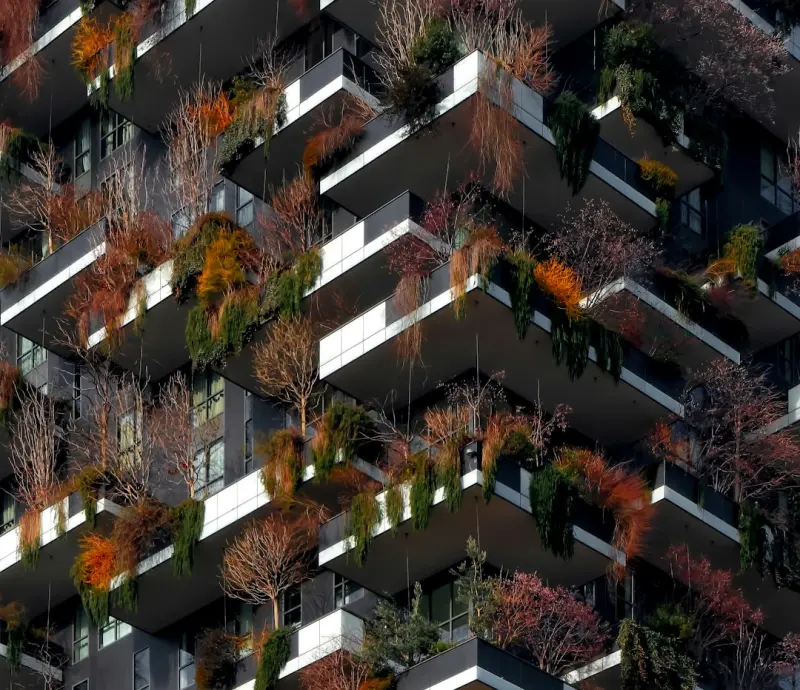 Vertical Harvest: Turning Tiny Balconies into Food‑Rich Gardens