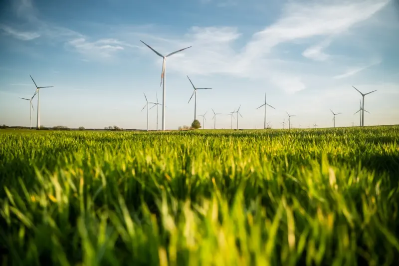 The Quiet Power of AI in Driving Corporate Sustainability